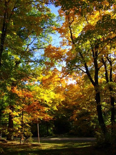 Twin lakes trail at road crossing