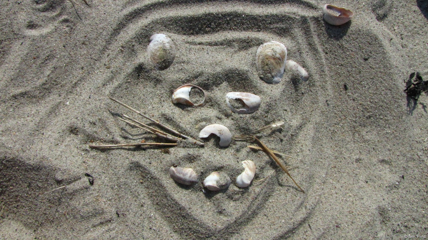 [Bluff%2520Point_016%255B3%255D.jpg]