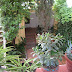 Jardí  de la casa de Joan Margarit