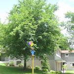REC Park 2011 028.jpg