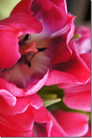 DSC00489