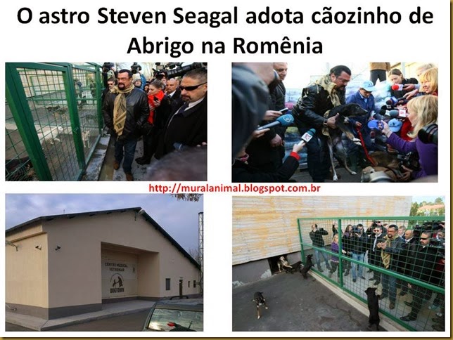 steven-seagal2 steven-seagal2