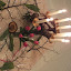 DSCF5282.JPG