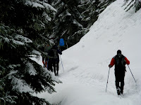 IMG_6693.JPG Photo