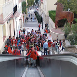 CIMG0429.JPG