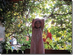 IMG_0414 IMG_0414