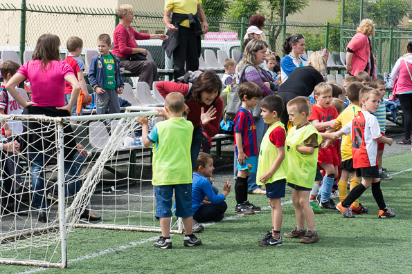 ovifoci-18.JPG