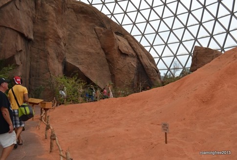 Inside the Desert Dome