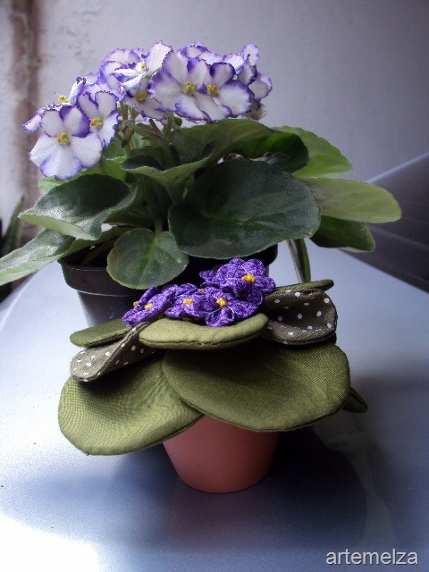 [DSC05070%255B7%255D.jpg]