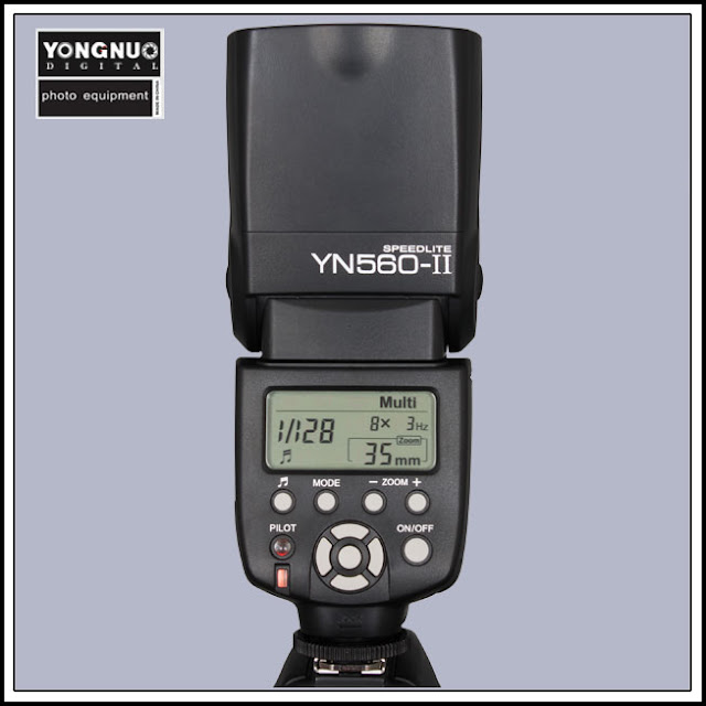 yn5602.jpg