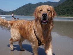 [FDS%2520Ecaologico%25206%2520%2528309%2529%255B4%255D.jpg]