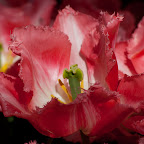 DSC_0756.jpg