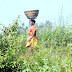 Near Karanja