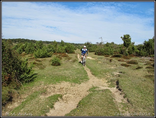 btt urbasa 048 btt urbasa 048
