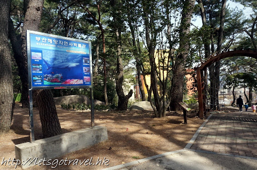 2013Busan0302.JPG