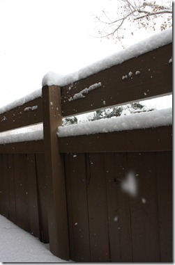 firstsnowwinter11 025