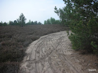 DSCN6264.JPG