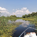 DSCN3065.JPG