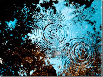 rain6 rain6