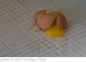 'Broken Egg' photo (c) 2008, Tal Atlas - license: http://creativecommons.org/licenses/by-sa/2.0/