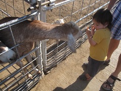 IMG_8695 IMG_8695