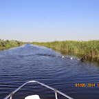 IMG_5686.JPG