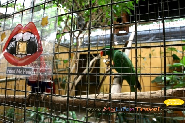 Langkawi Wildlife Park Langkawi Wildlife Park