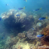 WhitsundaysPartII WhitsundaysPartII