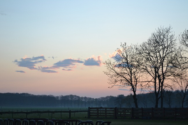 DSC_1086 DSC_1086