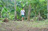 pinoyecofarm november_0010.JPG