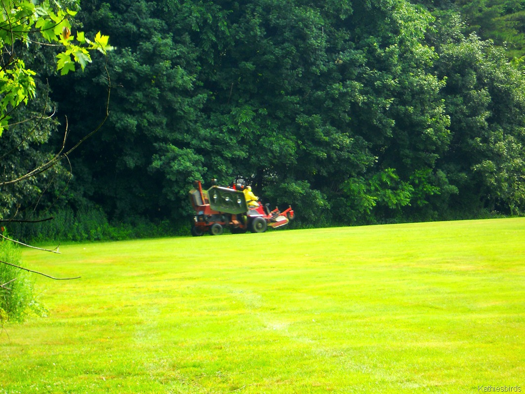 [6.%2520mower%2520blur-kab%255B9%255D.jpg]