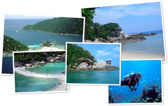 ดู Koh Tao, Koh Nang Yuan, Surat Thani