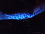 25.4.11 001.jpg