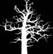 tree tree
