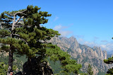DSC_0295.JPG
