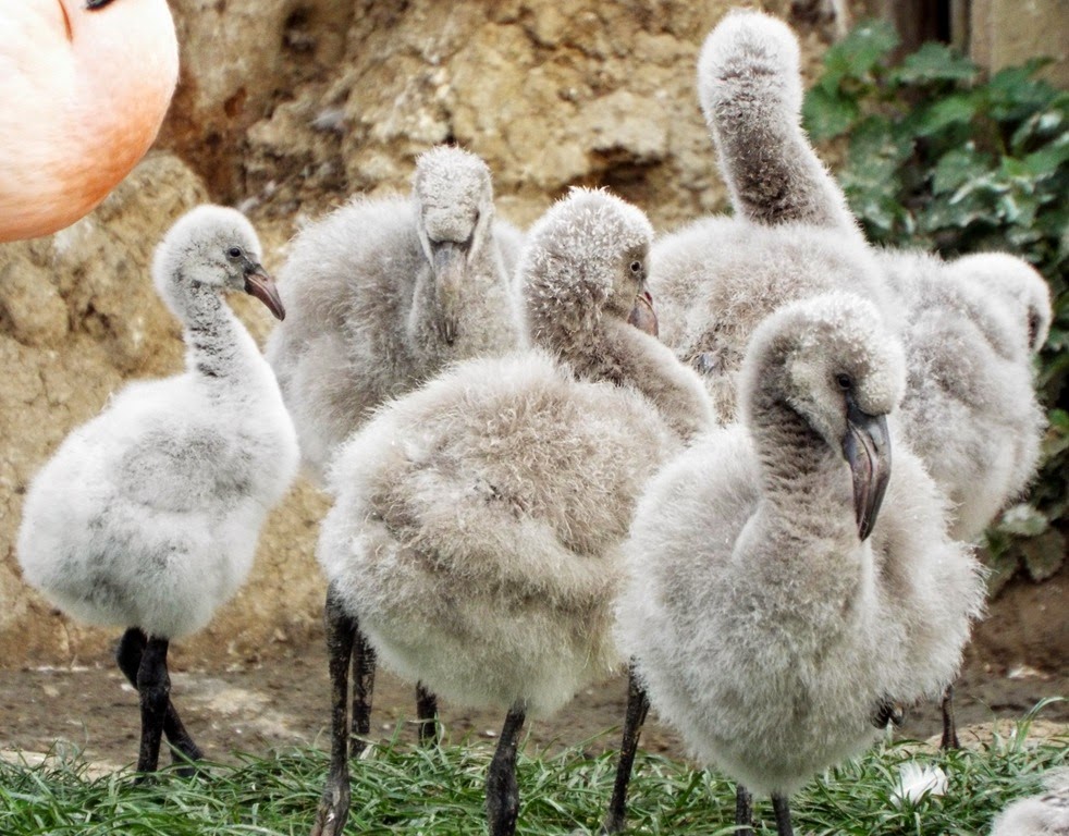 [DSCF0696-001%255B7%255D.jpg]