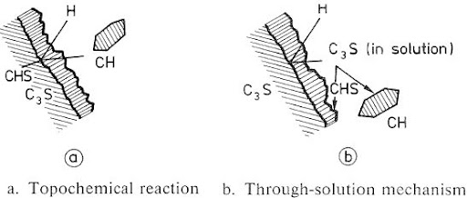 Schematic representation of proposed hydration mechanisms Schematic representation of proposed hydration mechanisms