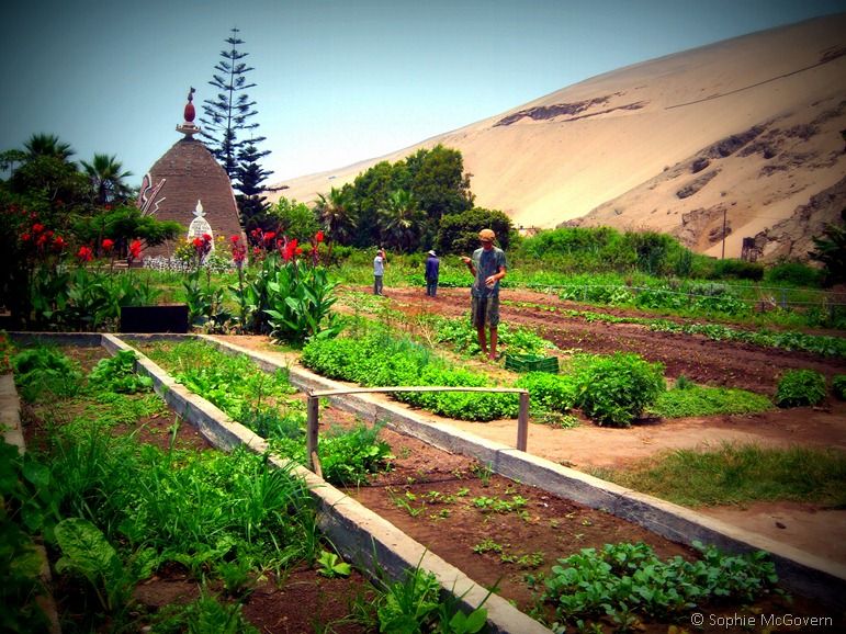 wwoof peru