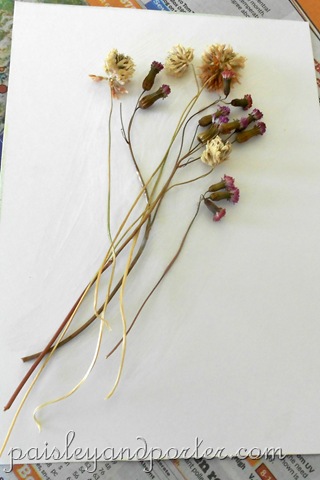 [DSCN1838-1%255B2%255D.jpg]