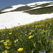 DSCN0493.JPG