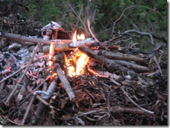 IMG_7615 IMG_7615
