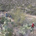 IMG_2263.JPG