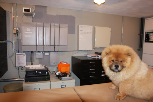 I want to make sure our tech is running smoothly - I'll just take a look.