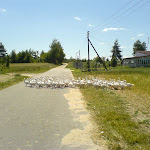dsc00361.jpg