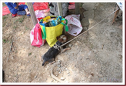 IMG_3880 IMG_3880