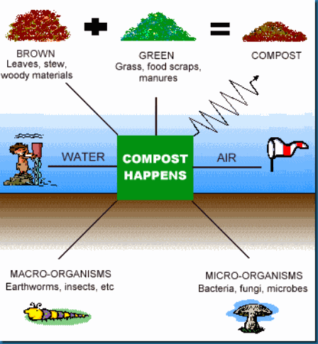 How%20Compost%20Happens