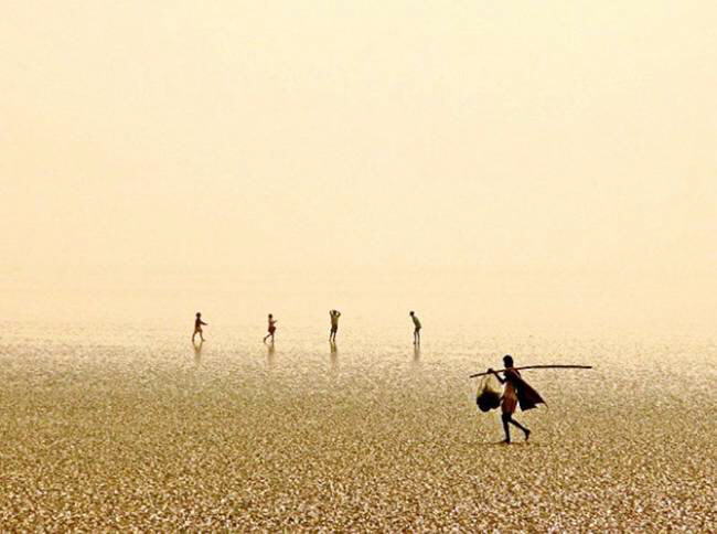 Best picture by Travelers