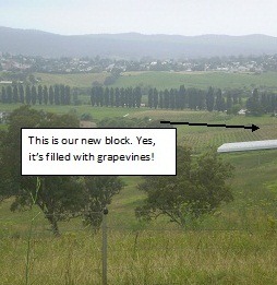 [springvale%2520block%255B7%255D.jpg]