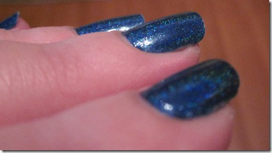 IMG_1566 IMG_1566