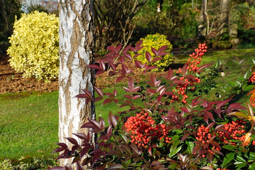 [DSC04345%255B3%255D.jpg]